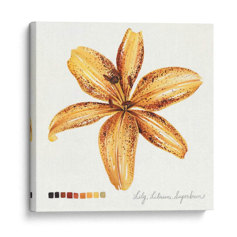 Lilium Iv - Grace Popp | Cuadro decorativo de Canvas Lab