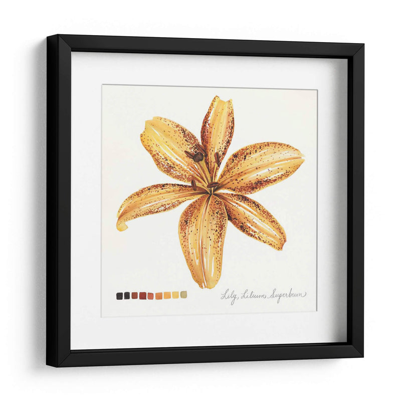 Lilium Iv - Grace Popp | Cuadro decorativo de Canvas Lab