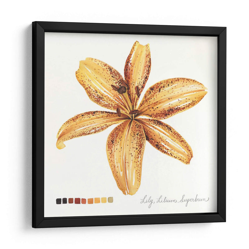 Lilium Iv - Grace Popp | Cuadro decorativo de Canvas Lab