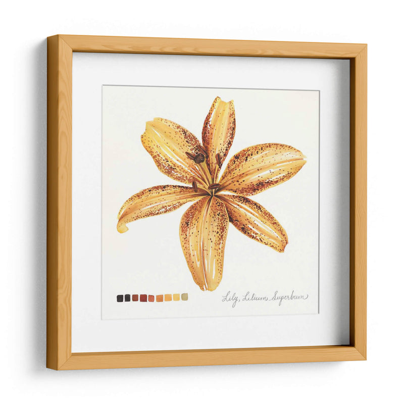 Lilium Iv - Grace Popp | Cuadro decorativo de Canvas Lab