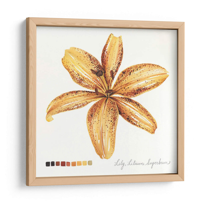 Lilium Iv - Grace Popp | Cuadro decorativo de Canvas Lab