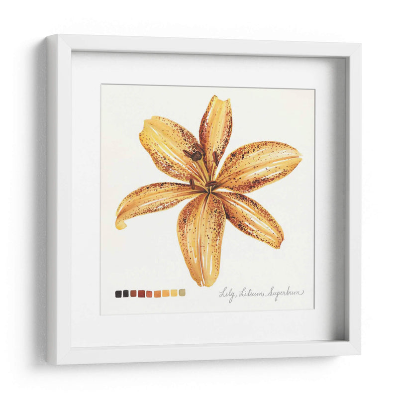 Lilium Iv - Grace Popp | Cuadro decorativo de Canvas Lab