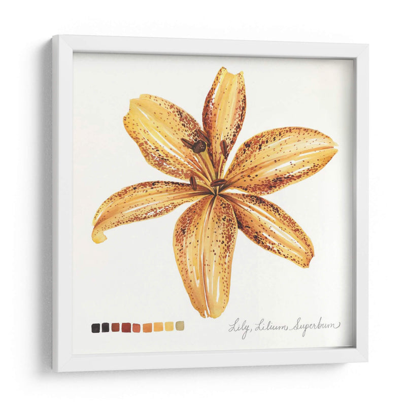 Lilium Iv - Grace Popp | Cuadro decorativo de Canvas Lab