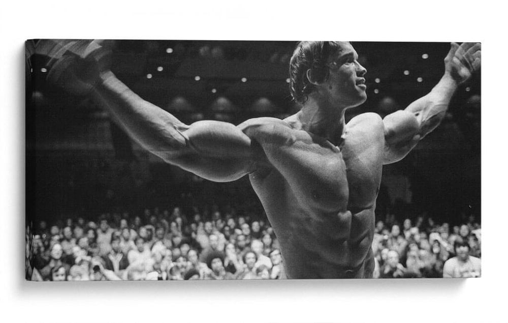 Strong Schwarzenegger | Cuadro decorativo de Canvas Lab