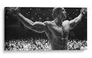 Strong Schwarzenegger | Cuadro decorativo de Canvas Lab