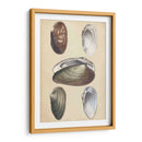 Bivalvos Marinos I - Wood | Cuadro decorativo de Canvas Lab