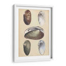 Bivalvos Marinos I - Wood | Cuadro decorativo de Canvas Lab