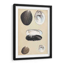 Bivalvuelos Marinos Ii - Wood | Cuadro decorativo de Canvas Lab