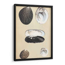 Bivalvuelos Marinos Ii - Wood | Cuadro decorativo de Canvas Lab