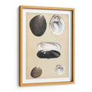 Bivalvuelos Marinos Ii - Wood | Cuadro decorativo de Canvas Lab