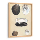 Bivalvuelos Marinos Ii - Wood | Cuadro decorativo de Canvas Lab