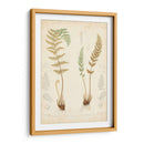 Estudio De Helecho I - Vision Studio | Cuadro decorativo de Canvas Lab