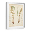 Estudio De Helecho I - Vision Studio | Cuadro decorativo de Canvas Lab