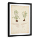 Estudio De Helecho Iii - Vision Studio | Cuadro decorativo de Canvas Lab