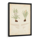 Estudio De Helecho Iii - Vision Studio | Cuadro decorativo de Canvas Lab
