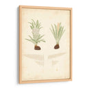 Estudio De Helecho Iii - Vision Studio | Cuadro decorativo de Canvas Lab