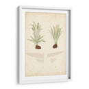 Estudio De Helecho Iii - Vision Studio | Cuadro decorativo de Canvas Lab