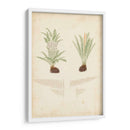 Estudio De Helecho Iii - Vision Studio | Cuadro decorativo de Canvas Lab