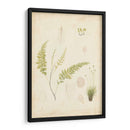 Estudio De Helecho Iv - Vision Studio | Cuadro decorativo de Canvas Lab