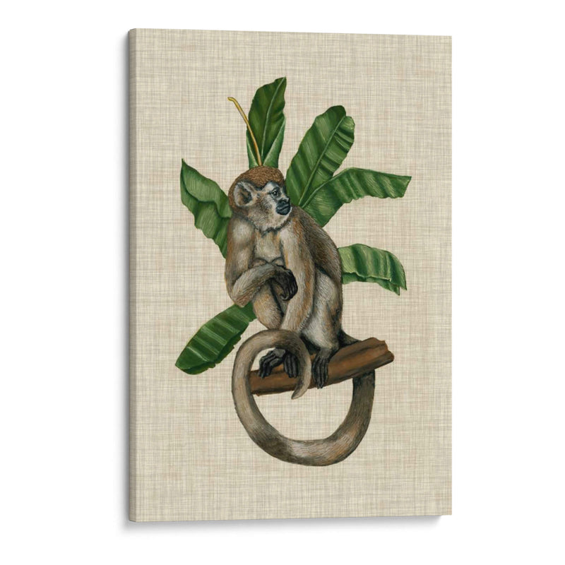 Canopy Monkey I - Naomi McCavitt | Cuadro decorativo de Canvas Lab