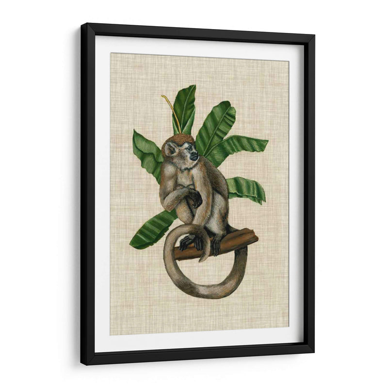 Canopy Monkey I - Naomi McCavitt | Cuadro decorativo de Canvas Lab