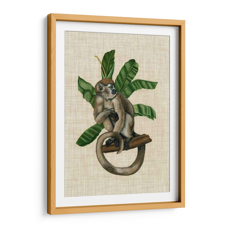 Canopy Monkey I - Naomi McCavitt | Cuadro decorativo de Canvas Lab