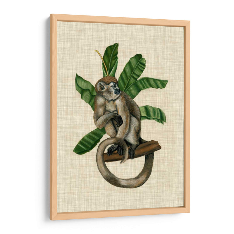 Canopy Monkey I - Naomi McCavitt | Cuadro decorativo de Canvas Lab