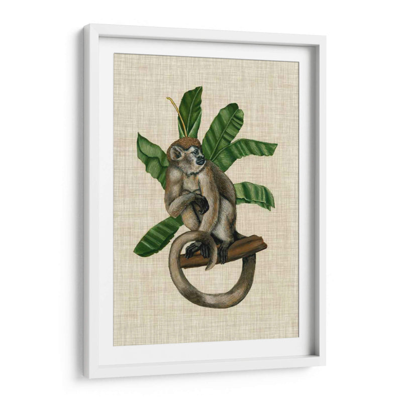 Canopy Monkey I - Naomi McCavitt | Cuadro decorativo de Canvas Lab