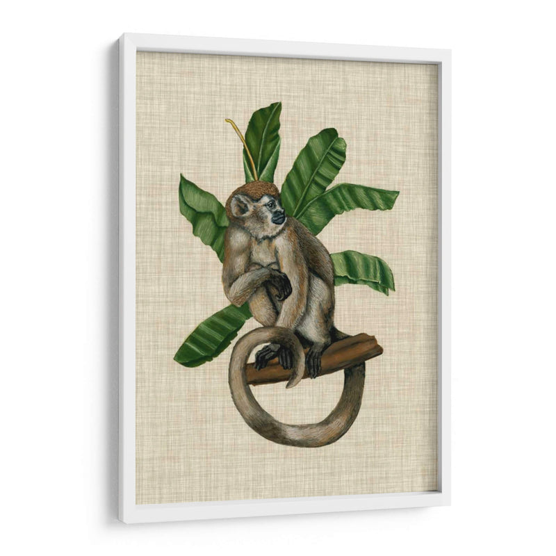 Canopy Monkey I - Naomi McCavitt | Cuadro decorativo de Canvas Lab