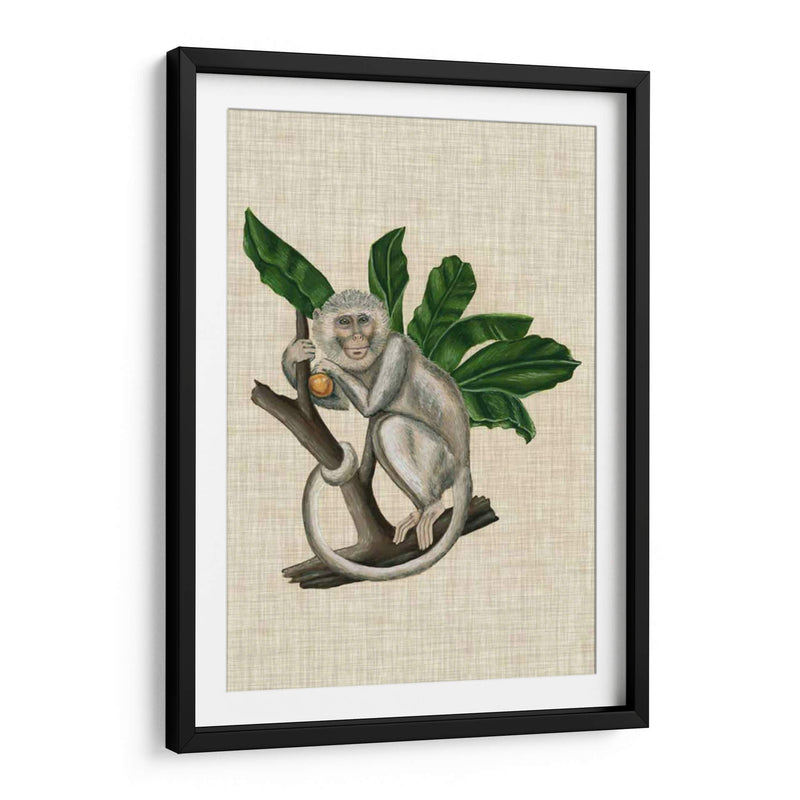 Canopy Monkey Ii - Naomi McCavitt | Cuadro decorativo de Canvas Lab