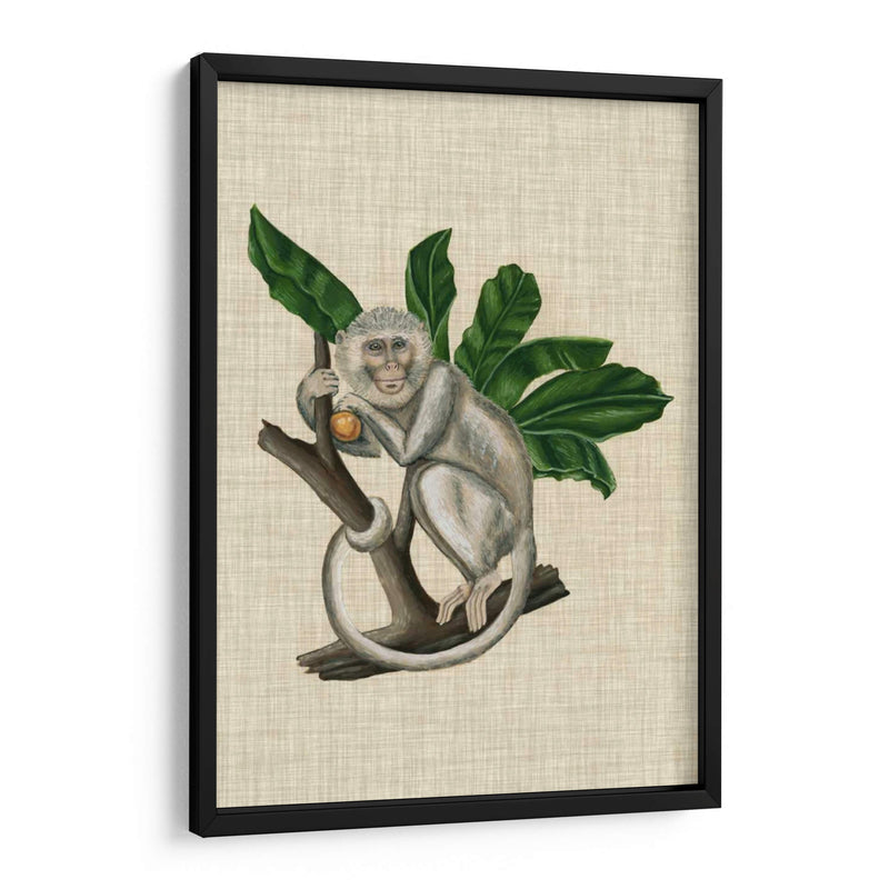 Canopy Monkey Ii - Naomi McCavitt | Cuadro decorativo de Canvas Lab