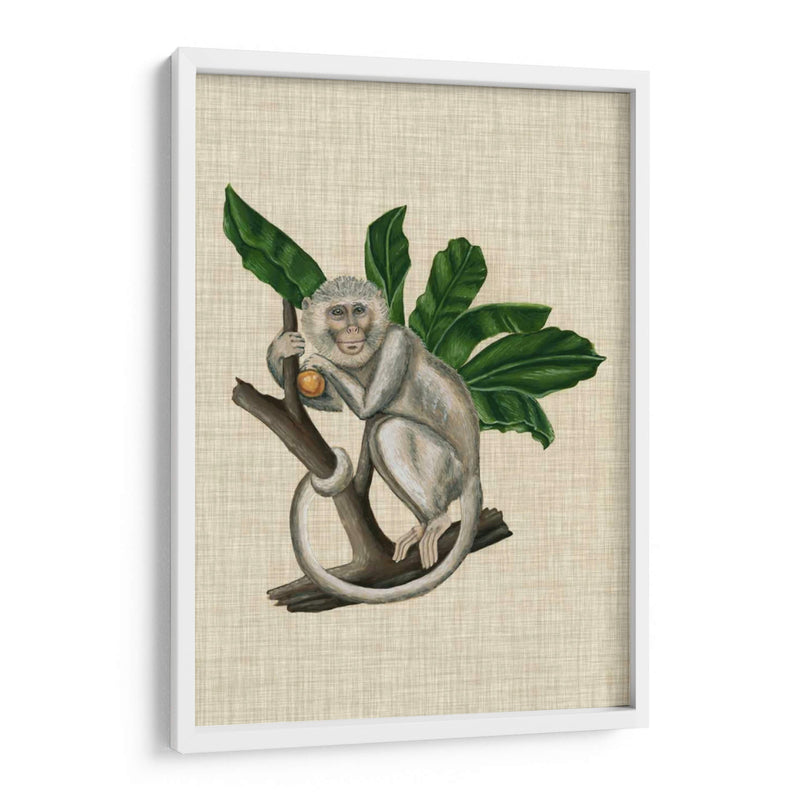 Canopy Monkey Ii - Naomi McCavitt | Cuadro decorativo de Canvas Lab