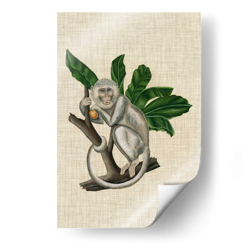 Canopy Monkey Ii - Naomi McCavitt | Cuadro decorativo de Canvas Lab