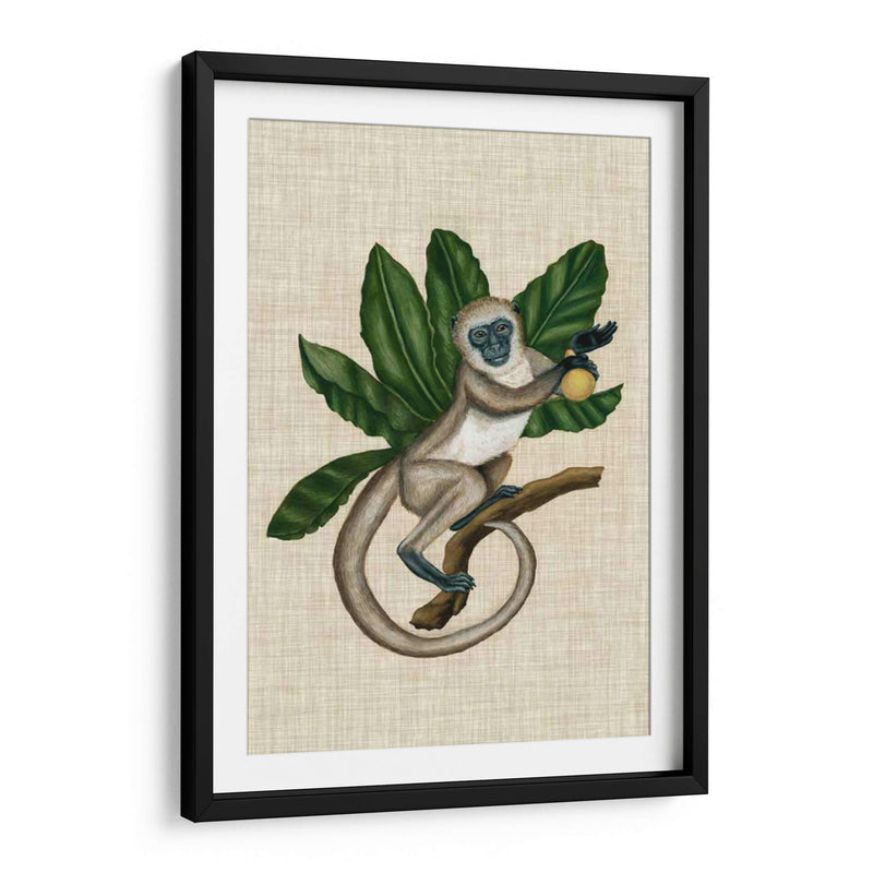 Canopy Monkey Iii - Naomi McCavitt | Cuadro decorativo de Canvas Lab