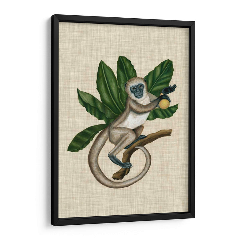 Canopy Monkey Iii - Naomi McCavitt | Cuadro decorativo de Canvas Lab