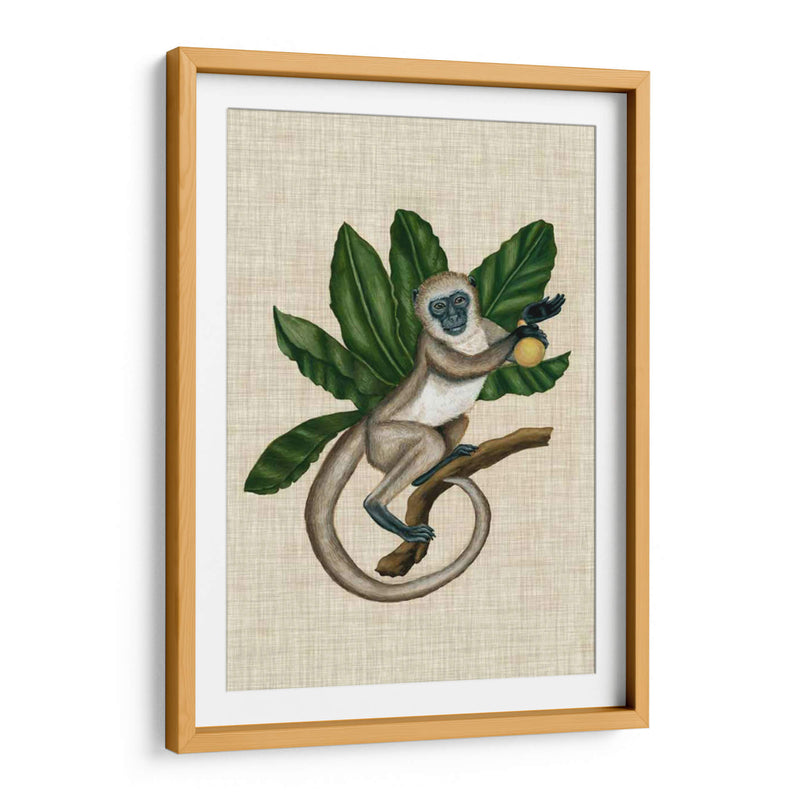 Canopy Monkey Iii - Naomi McCavitt | Cuadro decorativo de Canvas Lab