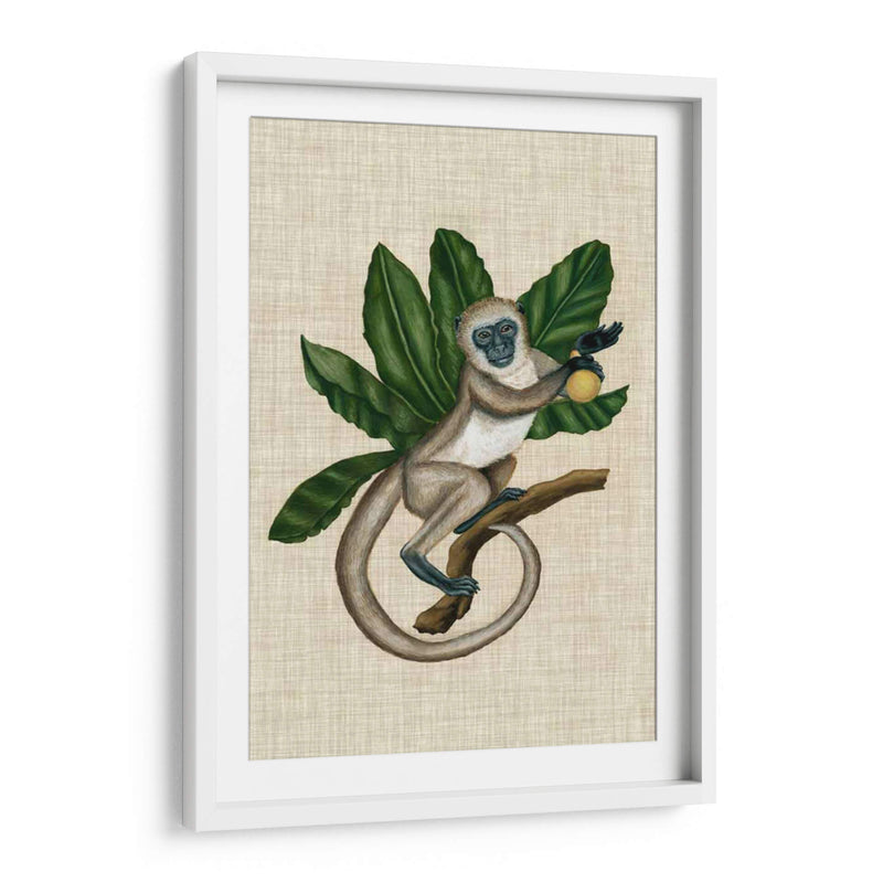 Canopy Monkey Iii - Naomi McCavitt | Cuadro decorativo de Canvas Lab