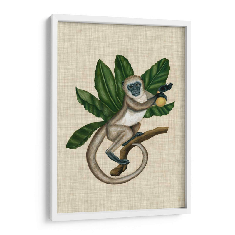 Canopy Monkey Iii - Naomi McCavitt | Cuadro decorativo de Canvas Lab