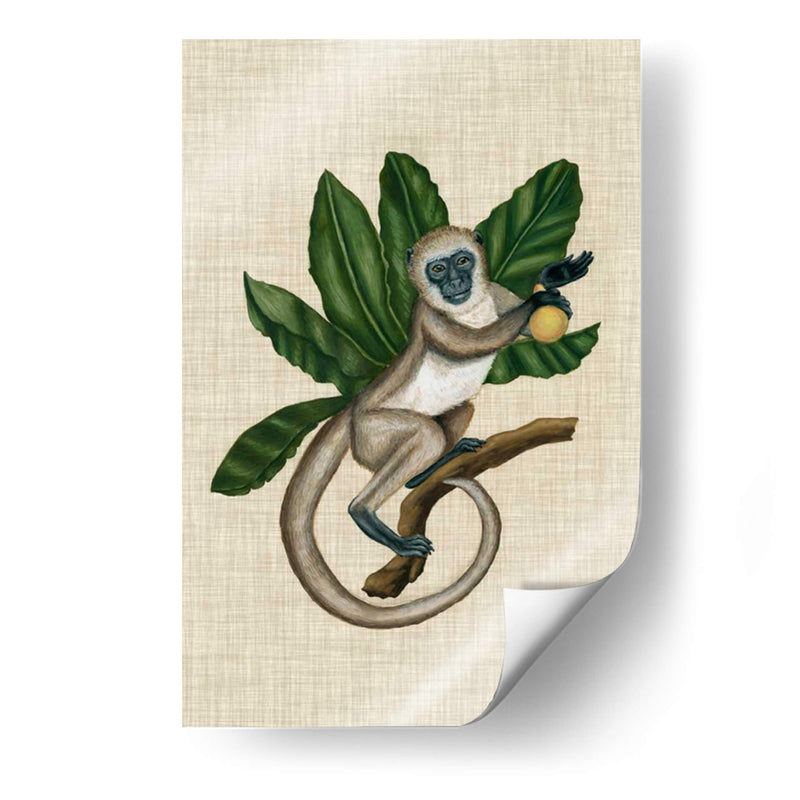 Canopy Monkey Iii - Naomi McCavitt | Cuadro decorativo de Canvas Lab