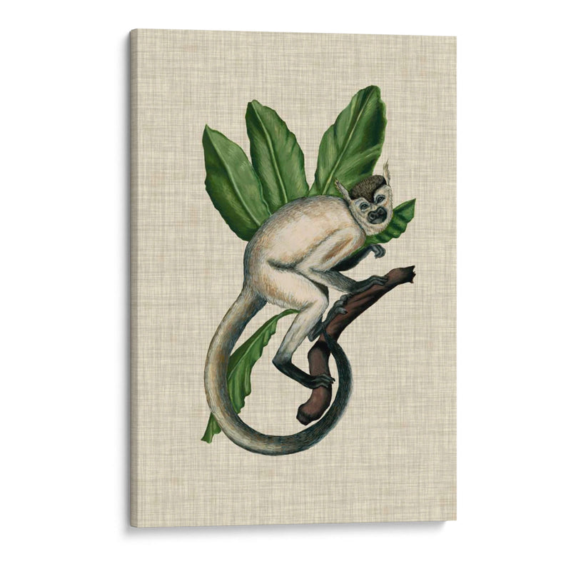 Canopy Monkey Iv - Naomi McCavitt | Cuadro decorativo de Canvas Lab