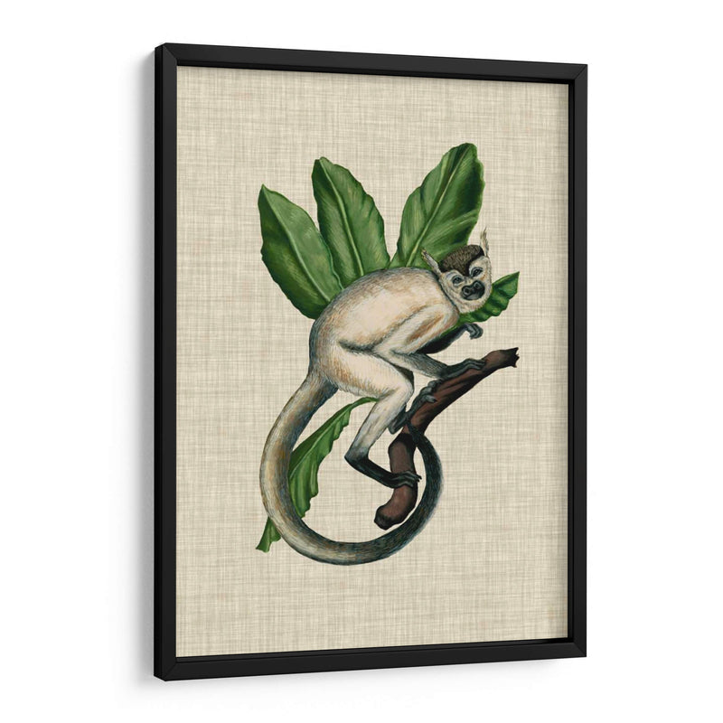 Canopy Monkey Iv - Naomi McCavitt | Cuadro decorativo de Canvas Lab