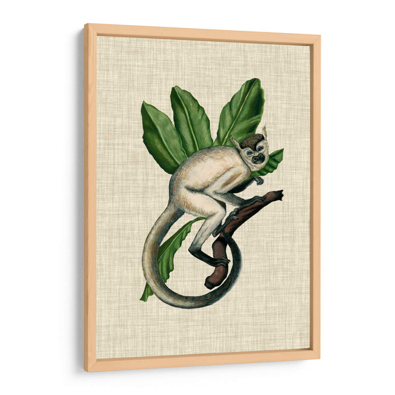 Canopy Monkey Iv - Naomi McCavitt | Cuadro decorativo de Canvas Lab