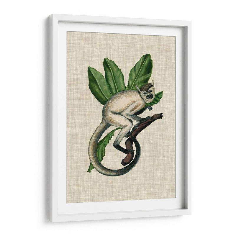 Canopy Monkey Iv - Naomi McCavitt | Cuadro decorativo de Canvas Lab