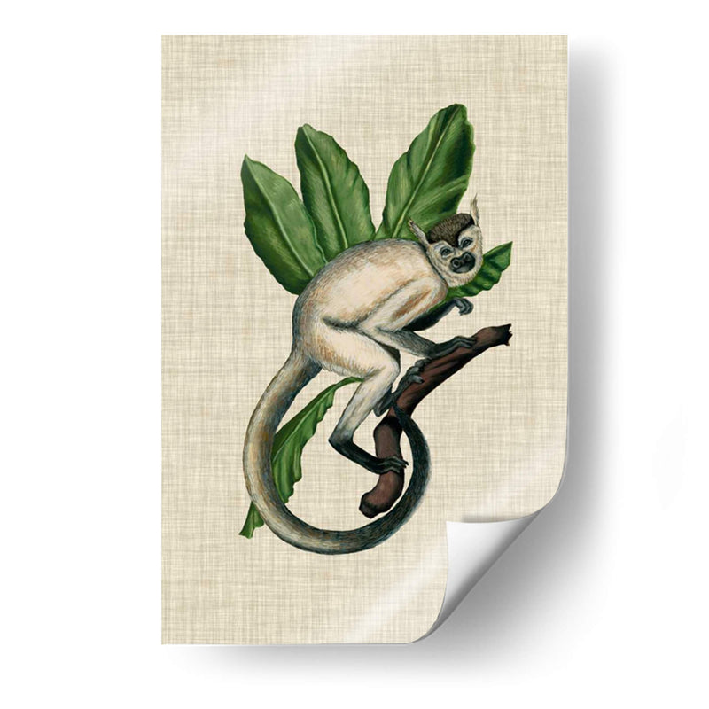 Canopy Monkey Iv - Naomi McCavitt | Cuadro decorativo de Canvas Lab