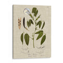 Ropa De Cama Y Hojas Iv - Vision Studio | Cuadro decorativo de Canvas Lab