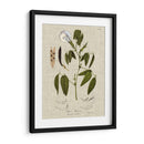 Ropa De Cama Y Hojas Iv - Vision Studio | Cuadro decorativo de Canvas Lab