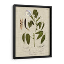 Ropa De Cama Y Hojas Iv - Vision Studio | Cuadro decorativo de Canvas Lab