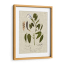 Ropa De Cama Y Hojas Iv - Vision Studio | Cuadro decorativo de Canvas Lab