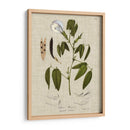 Ropa De Cama Y Hojas Iv - Vision Studio | Cuadro decorativo de Canvas Lab