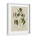 Ropa De Cama Y Hojas Iv - Vision Studio | Cuadro decorativo de Canvas Lab